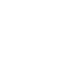 icon camera